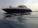 Airon Marine - Airon 425