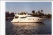  Ferretti - FERRETTI 530