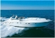  Rizzardi - CR 53 Top Line
