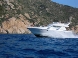  Mochi Craft - MOCHI 40 EUROPA