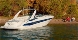  Crownline - 315 SCR