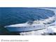  RIZZARDI - RIZZARDI 50 CR TOP LINE