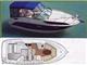  BAYLINER - BAYLINER 245 CRUISER