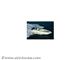  BOSTON WHALER - BOSTON 320 OUTRAGE
