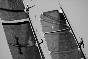 La Suprema Corte di New York ordina che la 33a America�s Cup sia conforme al Deed of Gift