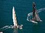 Oracle affonda Alinghi