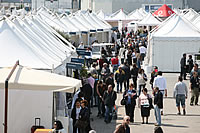 FANO YACHT FESTIVAL