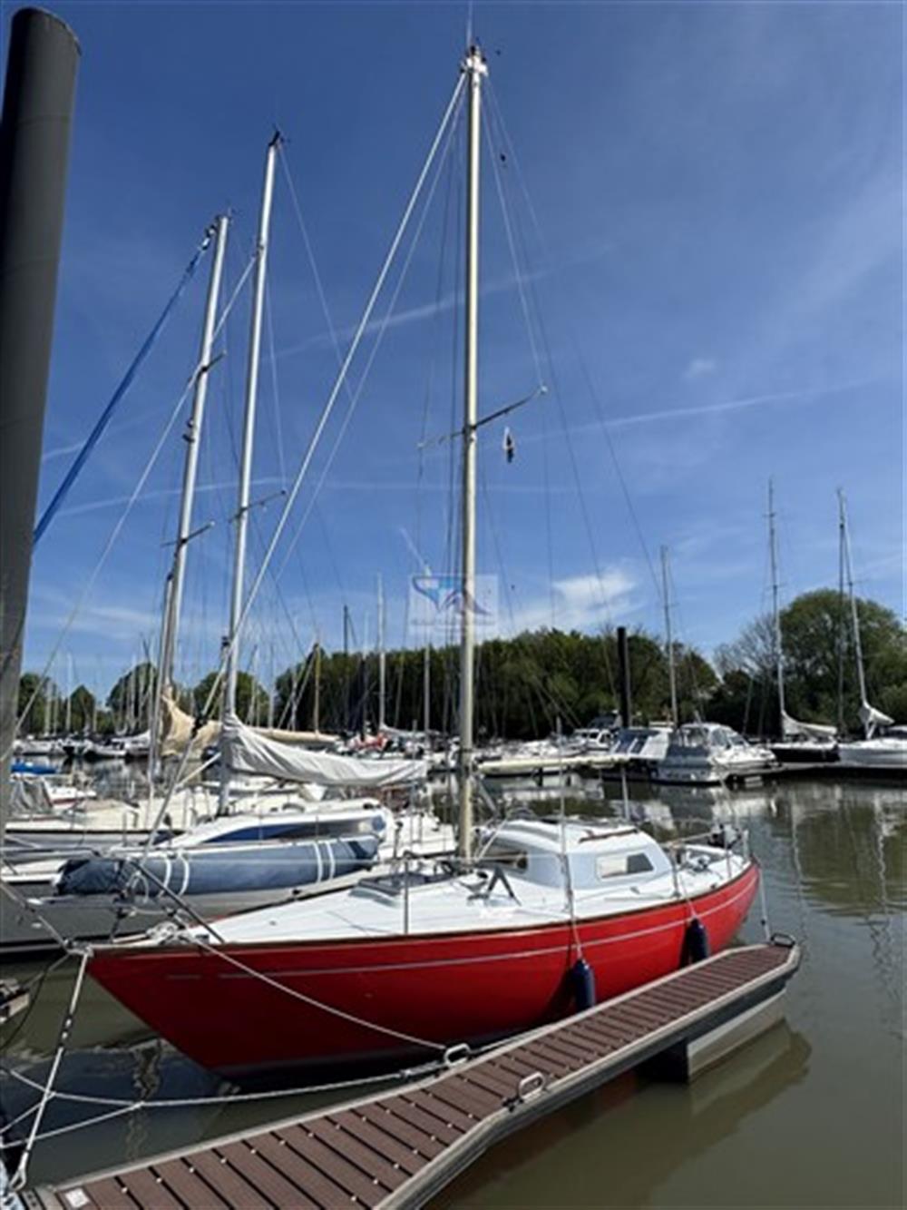 MallardEcume de Mer