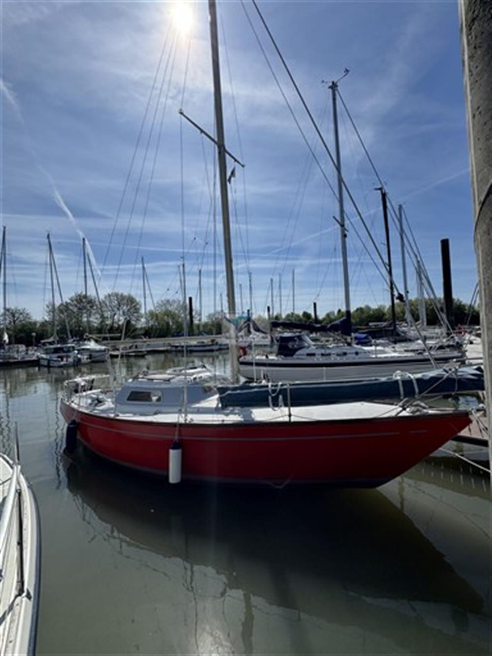 Mallard Ecume de Mer