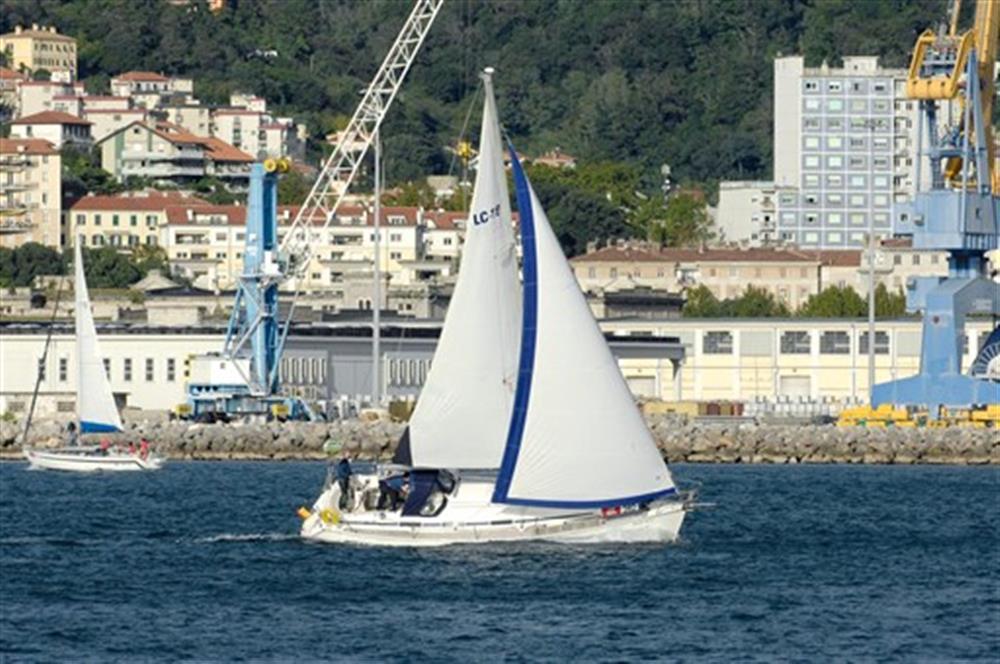 Bavaria Bavaria 36 Cruiser
