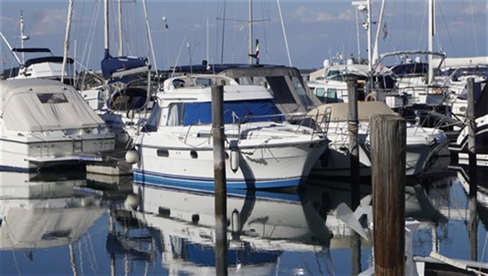 Nimbus NIMBUS 310 Coup