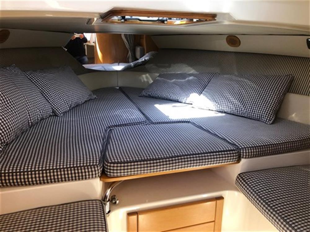 Cerrimarine Cerrimarine 28