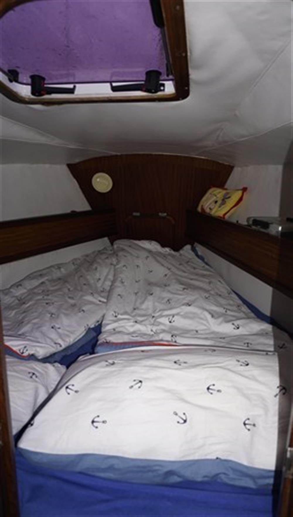 Elan Line ELAN 33