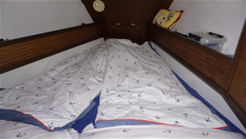 Elan Line ELAN 33