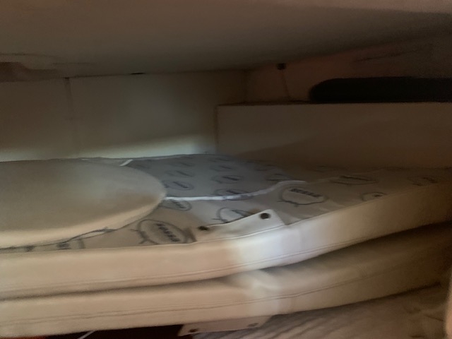 SESSA OYSTER 25