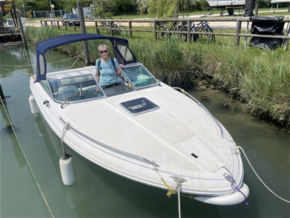 Sea Ray SEA RAY 220 OV