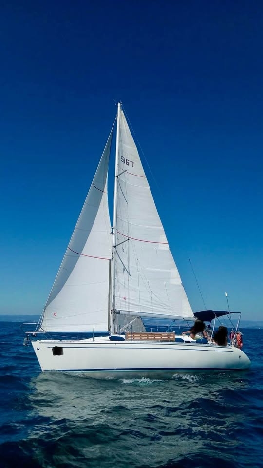 Elan&nbsp;ELAN&nbsp;34