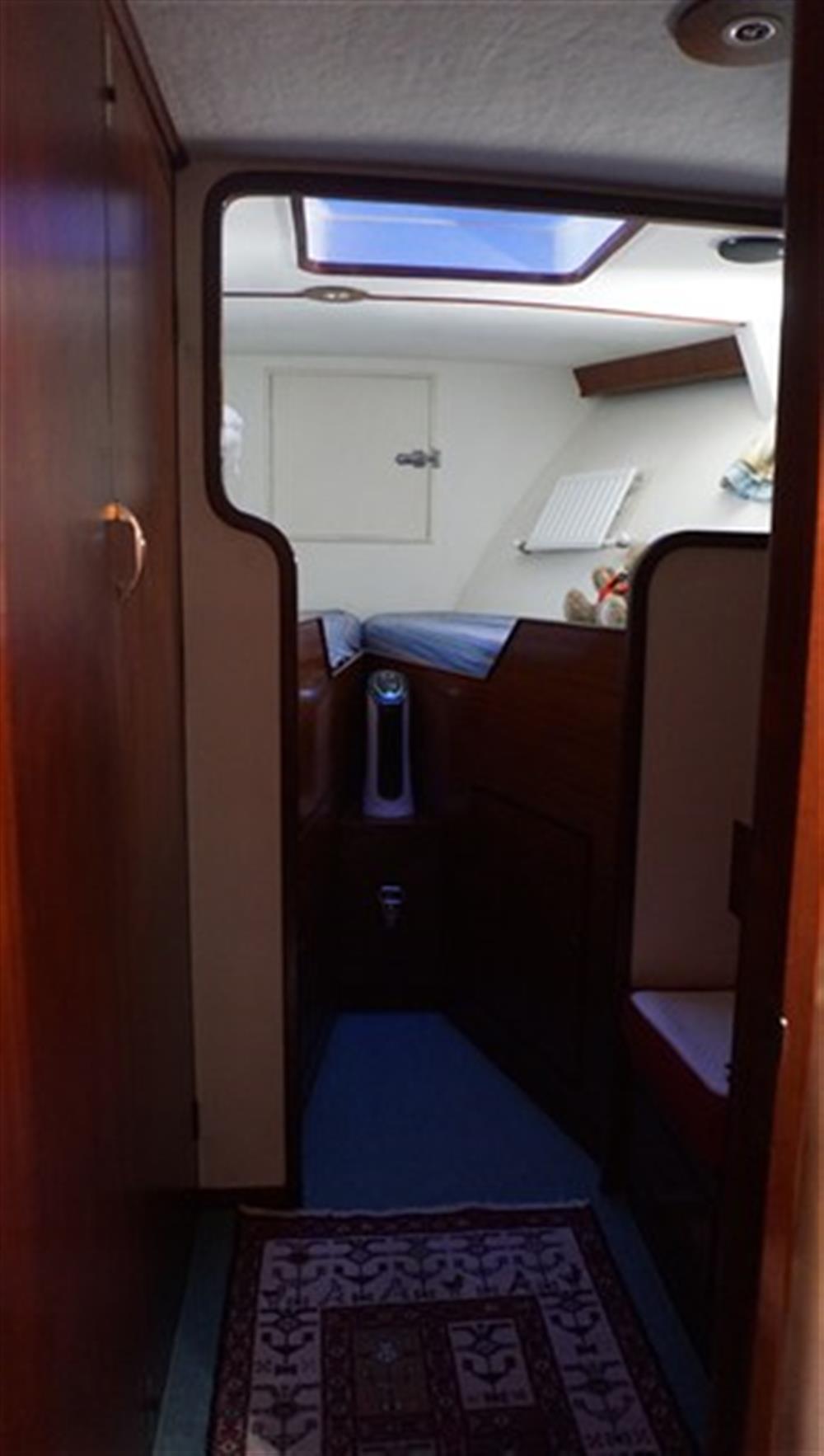 Dagless&nbsp;Fleur&nbsp;de&nbsp;Lys&nbsp;56'&nbsp;Fleur&nbsp;de&nbsp;Lys&nbsp;Continental