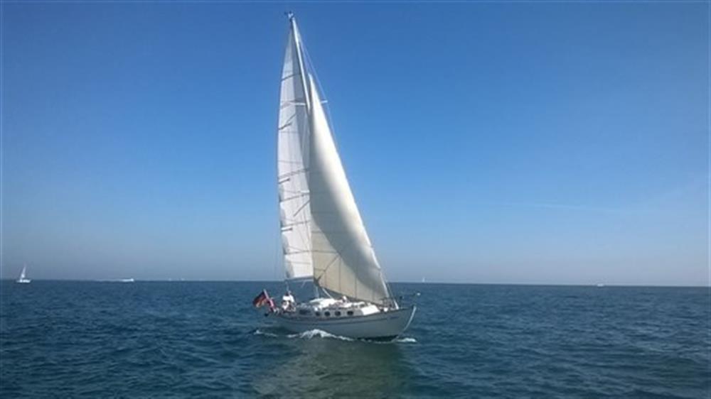 Alpa&nbsp;ALPA&nbsp;11&nbsp;Maica