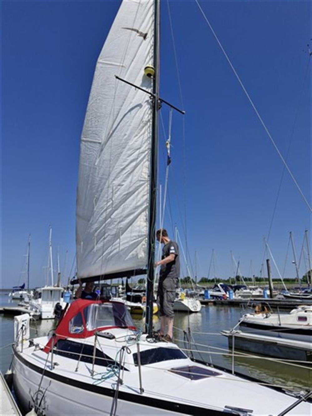 Comar&nbsp;COMET&nbsp;801